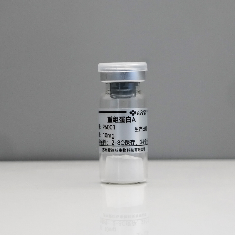 重组蛋白A
