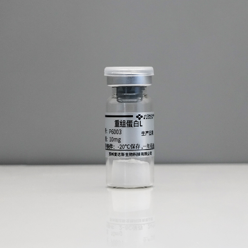 重组蛋白L