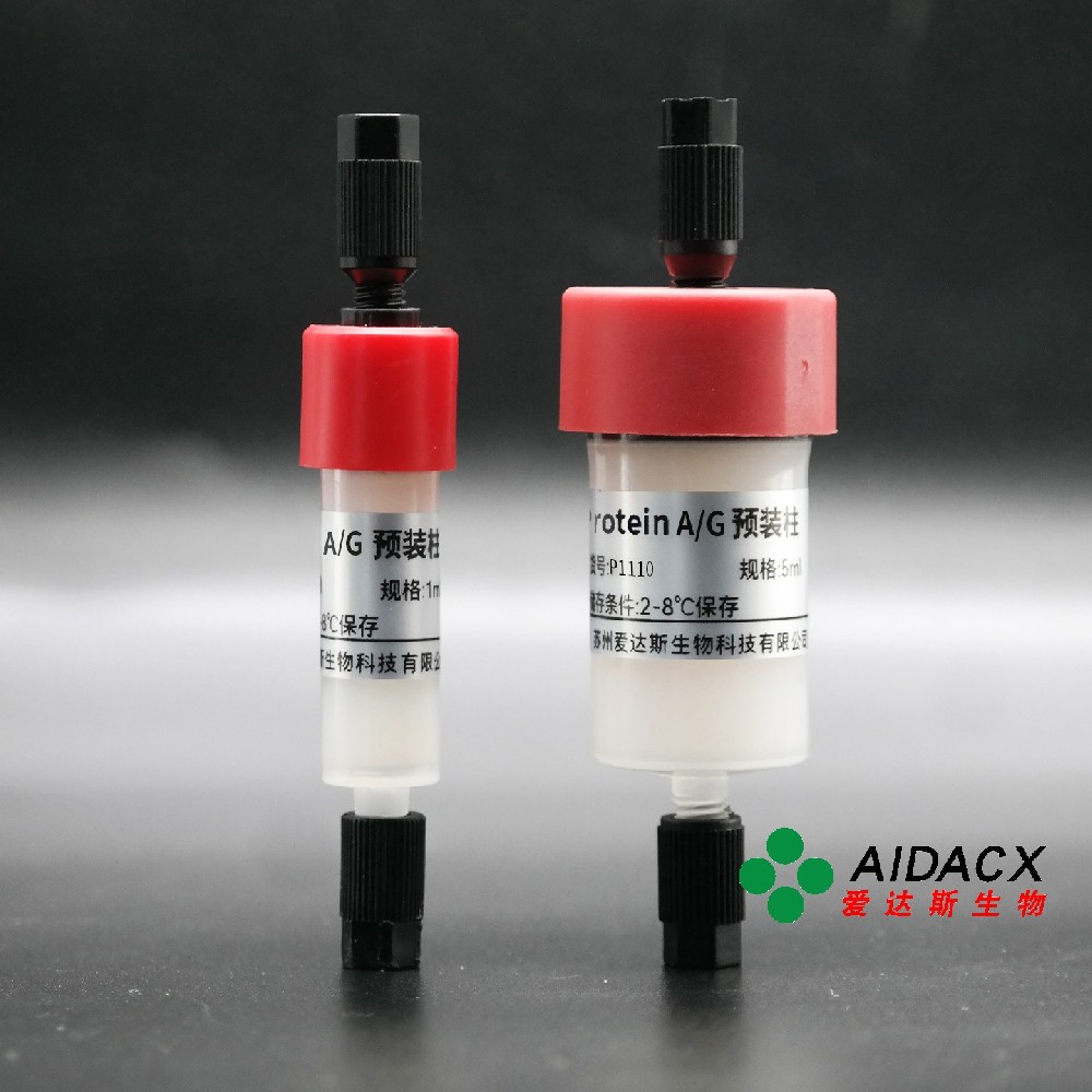 Protein A/G 凝胶预装柱