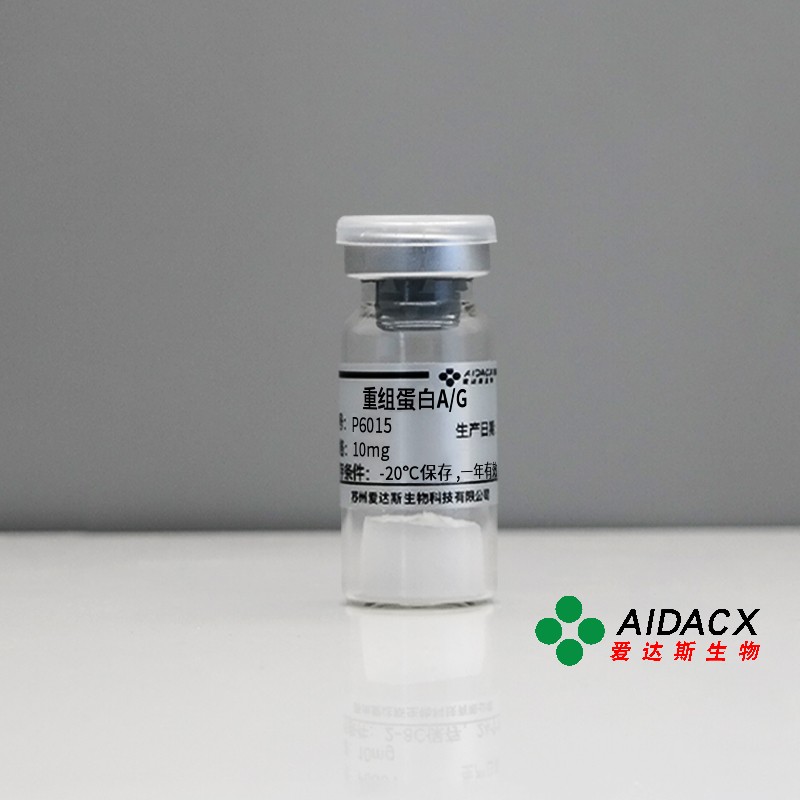 重组蛋白A/G