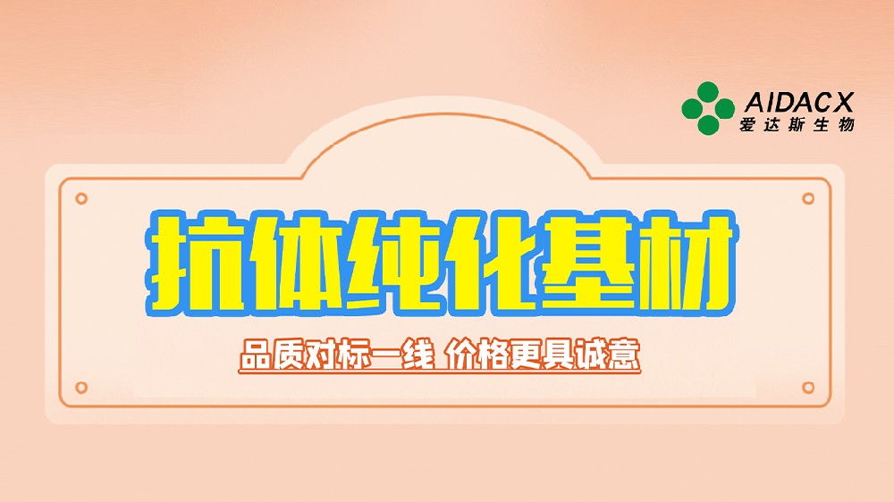 抗体纯化基材
